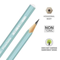 Flair PASTELA EXTRA DARK PENCIL Set of 10 - 1 Eraser n 1 Sharpener